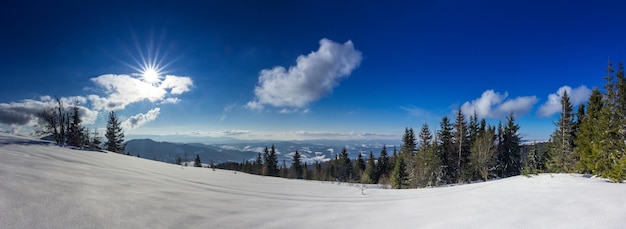 Paysage d'hiver de montagne forêt d'épinettes couverte de neige dans le paysage d'hiver