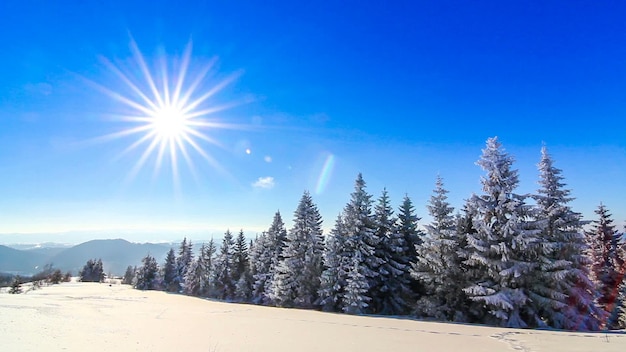 Paysage d&#39;hiver de montagne