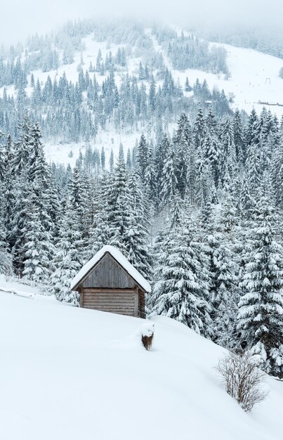 Paysage d'hiver des montagnes des Carpates ukrainiennes