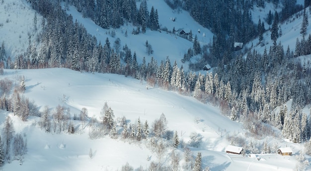 Paysage d'hiver des montagnes des Carpates