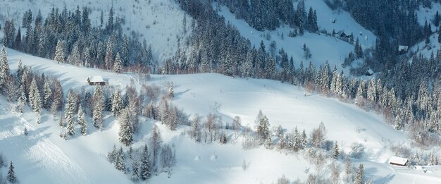 Paysage d'hiver des montagnes des Carpates