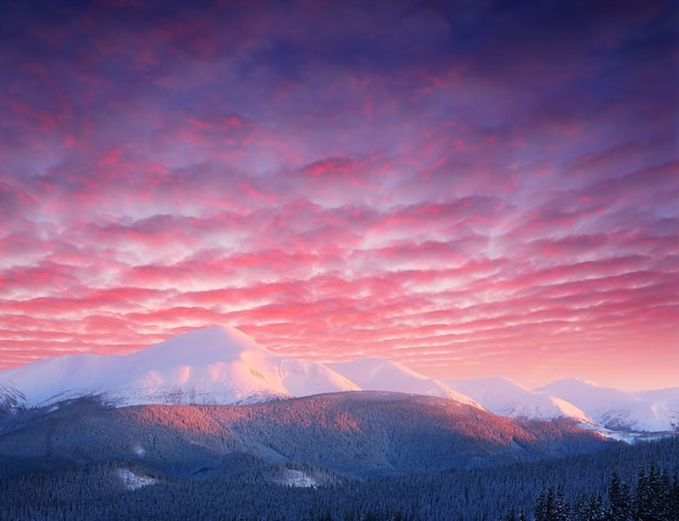 Paysage d'hiver avec des montagnes enneigées