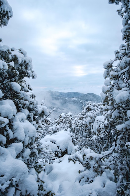 Paysage d'hiver avec montagnes et nuages