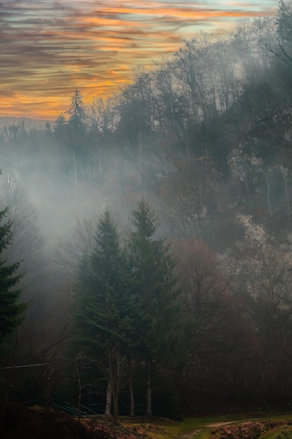 Paysage d'hiver avec des montagnes roumaines