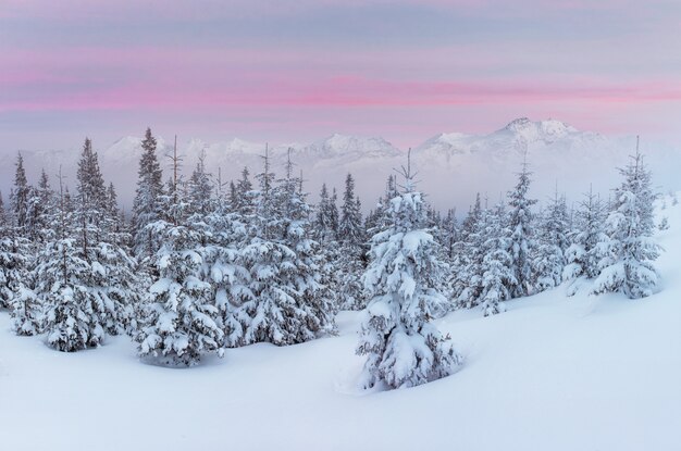 Paysage d'hiver mystérieux montagnes majestueuses