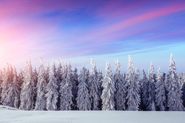 Paysage d'hiver mystérieux montagnes majestueuses