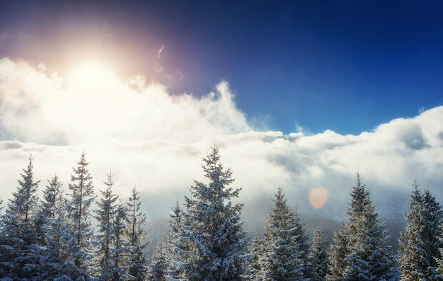 Paysage d'hiver mystérieux montagnes majestueuses