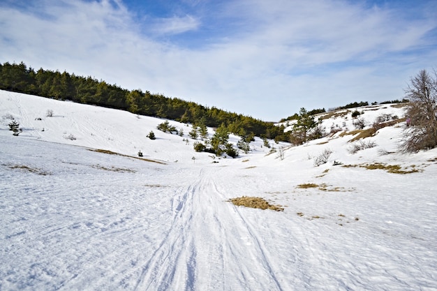 Photo paysage d'hiver avec neige et arbres montagne de neige.