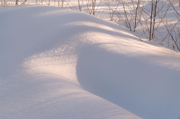 Paysage d'hiver avec neige et arbres. Paysage naturel en hiver