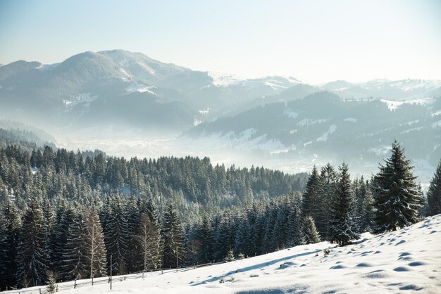 Paysage d'hiver avec de la neige dans les montagnes des Carpates, Ukraine