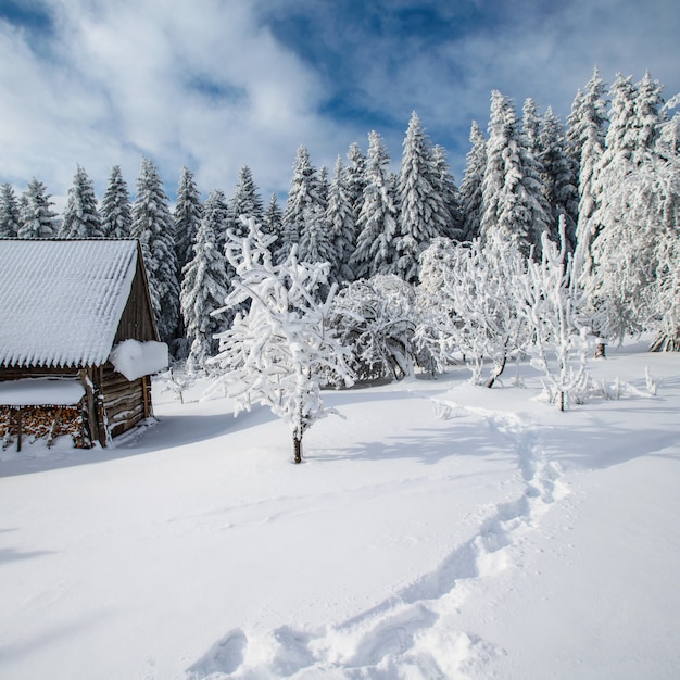 Paysage d'hiver avec de la neige dans les montagnes