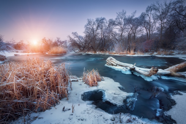 Paysage d'hiver avec de la neige