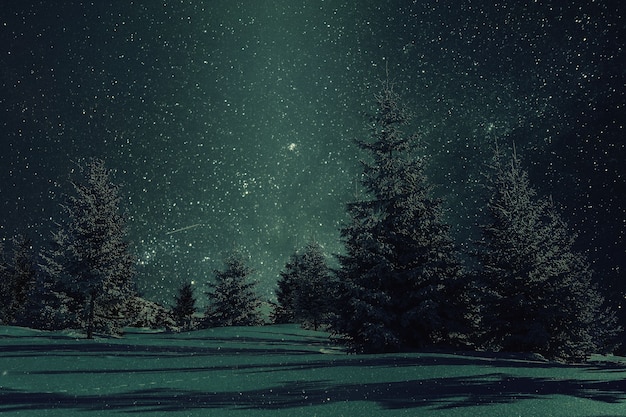 Paysage d'hiver de nuit avec des arbres dans la neige. Étoiles dans un ciel clair. Stylisation vintage, filtre de film rétro