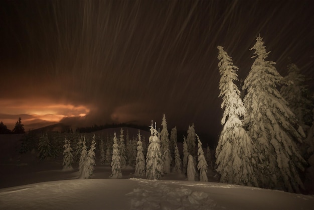 Paysage d'hiver de nuit avec forêt enneigée et chutes de neige