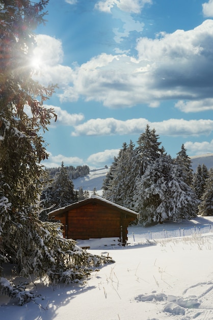 Paysage d'hiver avec un petit chalet