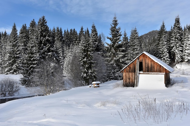 Paysage d'hiver avec une petite cabane en bois