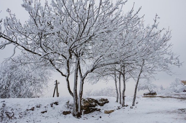 Paysage d'hiver de Piatigorsk, Caucase du Nord, Russie