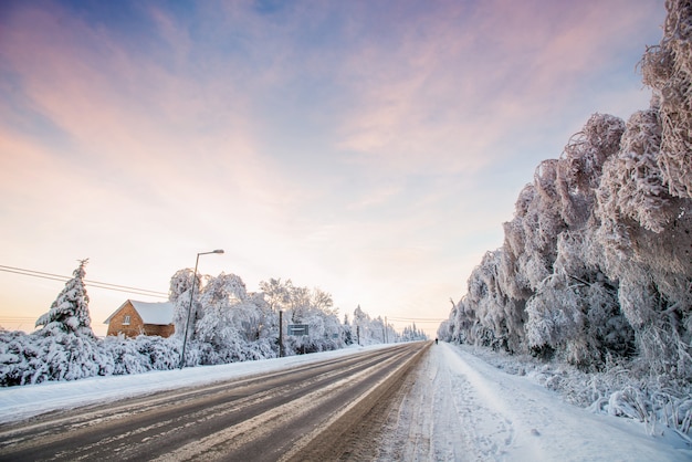 Paysage d'hiver pittoresque