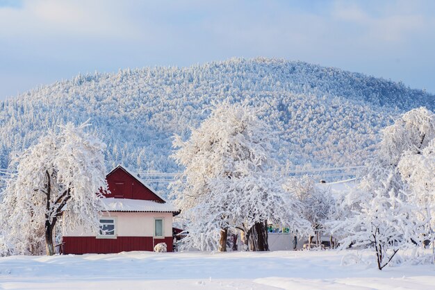 Paysage d'hiver pittoresque