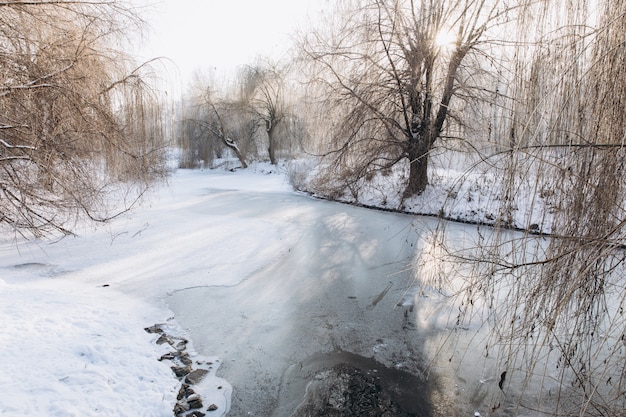 Paysage d'hiver avec la rivière et la forêt en journée glaciale