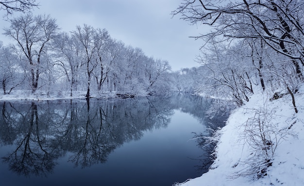 Paysage d'hiver avec rivière en forêt.