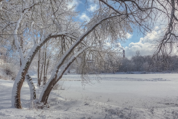 Paysage d'hiver sur la rivière gelée