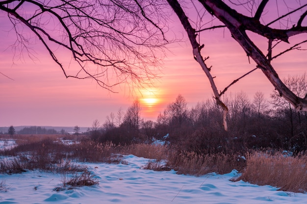 Paysage d'hiver. Soirée à la campagne. Coucher de soleil avec beau ciel dégradé dans le domaine recouvert de neige. Paysage rural avec lumière magique.