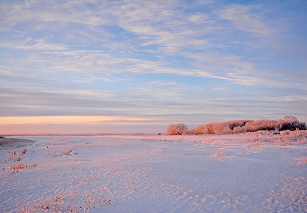 Photo paysage d'hiver