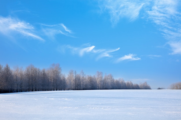 Photo paysage d'hiver