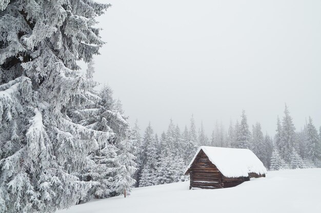 Paysage d&#39;hiver