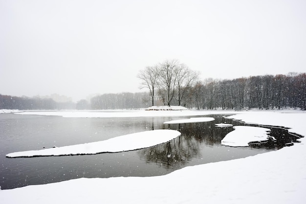 Paysage d&#39;hiver