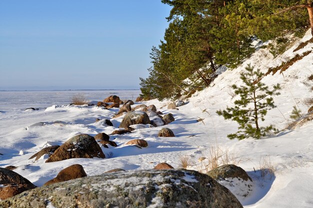 Paysage d&#39;hiver