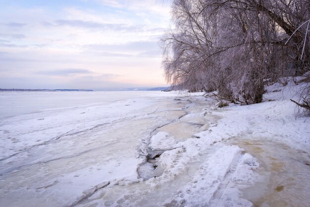 Paysage d'hiver