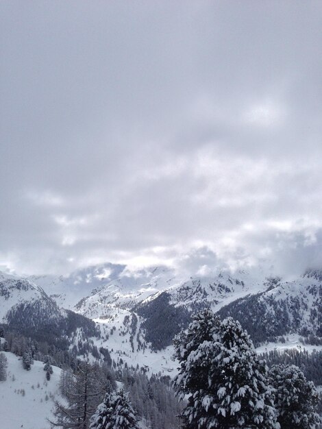 Paysage hivernal dans les montagnes