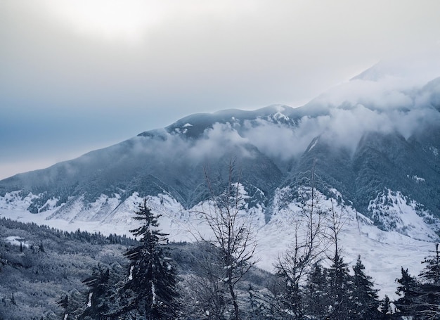 Photo paysage hivernal des montagnes majestueuses neige sur les arbres