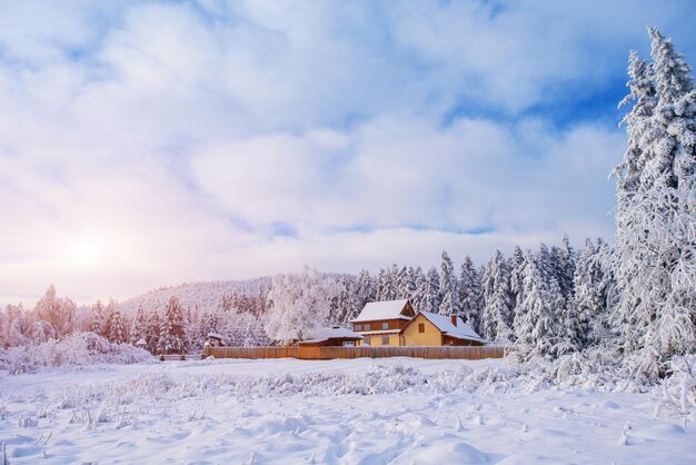 Paysage hivernal avec de la neige dans les montagnes