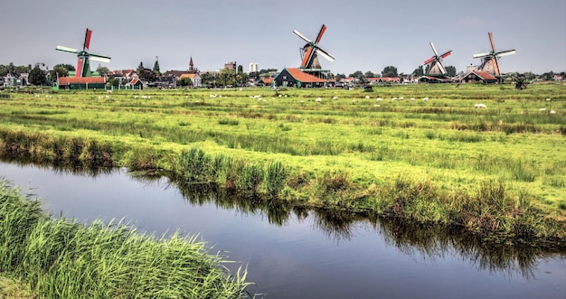 Paysage hollandais authentique par une belle journée