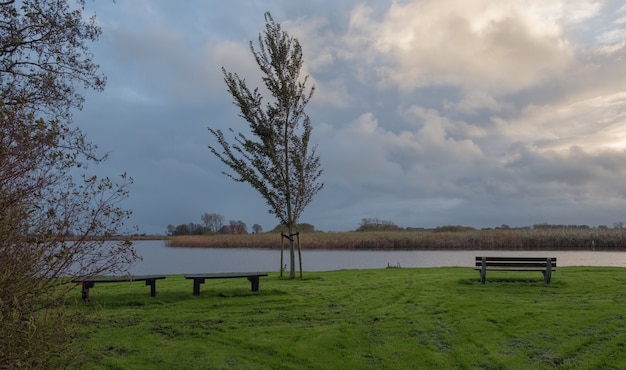 Paysage hollandais en été