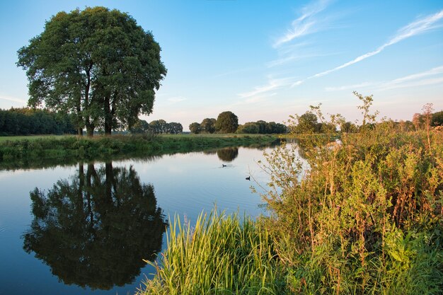 Paysage hollandais nature eau arbres coucher de soleil