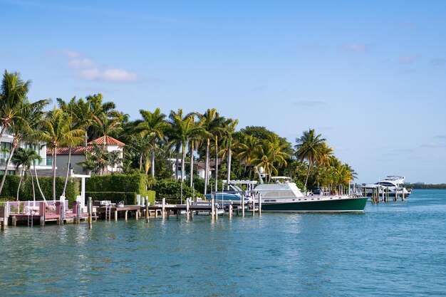 Paysage d'horizon d'été avec palmiers et yacht