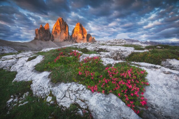 Paysage humide avec des montagnes de dolomites et des arbres à la lumière parfaite du coucher du soleil