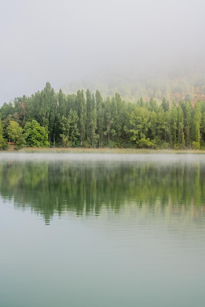 Photo paysage idyllique autour d'un lac avec un peu de brouillard et entouré d'arbres verts