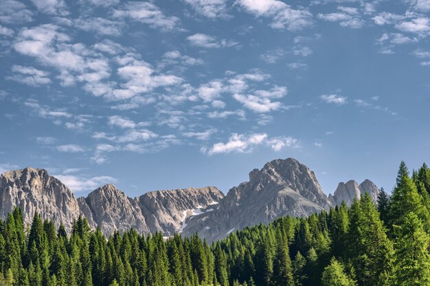 Paysage idyllique avec forêt verte près de la montagne