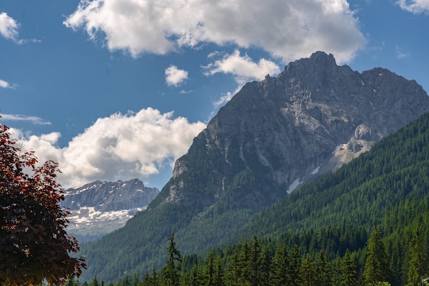 Paysage idyllique avec haute montagne rocheuse et forêt verte