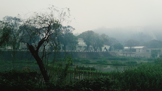 Le paysage idyllique de Macao