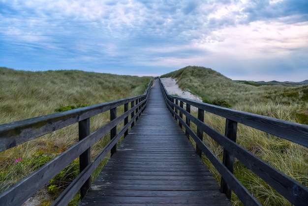 Paysage sur l'île de Sylt en Allemagne avec un sentier en bois sur des collines d'herbe de marram Beau paysage naturel au coucher du soleil après une journée de pluie