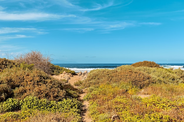 Photo paysage de l'île tropicale de tenerife