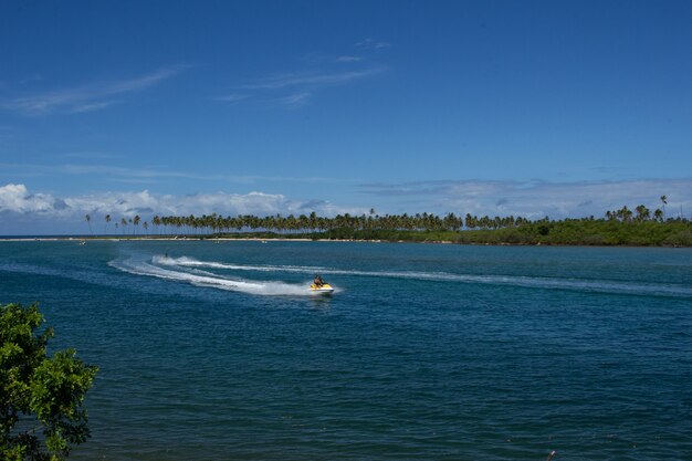 Paysage incroyable du morceau de plage