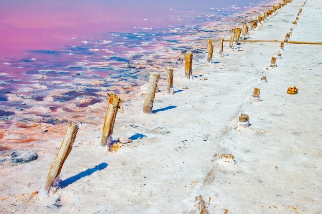 Paysage inhabituel du lac rose de Crimée Yevpatoria