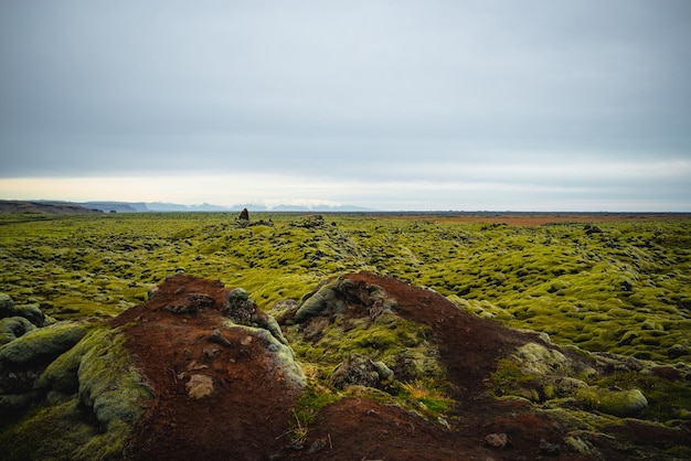 Photo paysage islandais de la zone volcanique avec des formations rocheuses moussues et des montagnes